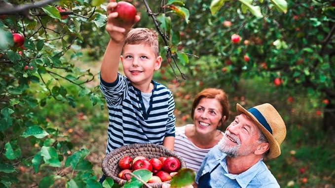 Premium Apple Potting Soil Mix - Optimal Nutrient-Rich Blend for Thriving and Juicy Apples - 1 Quart