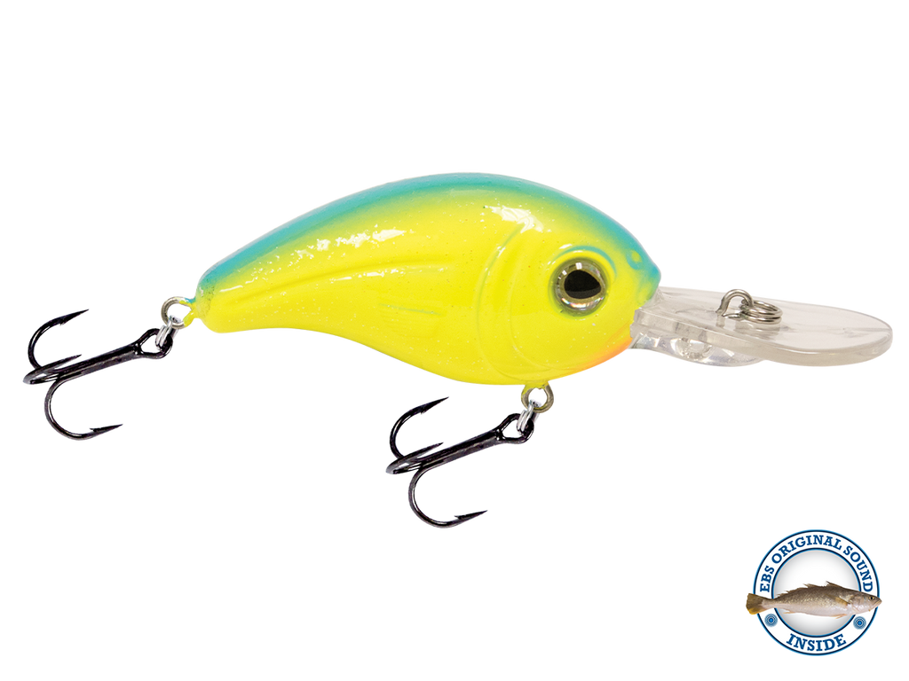 Dive Master Jr 8