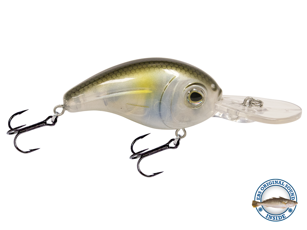 Dive Master Jr 8