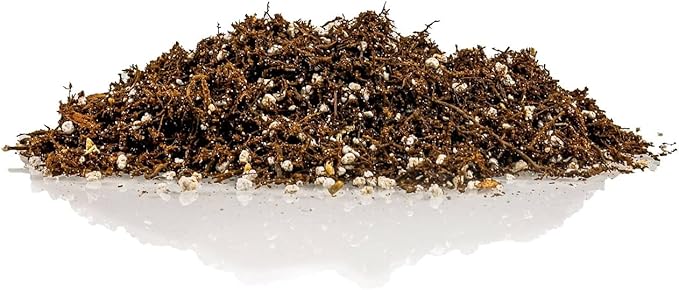 Fern + Perlite Soil Mix - 10 Quart - for Repotting and Planting Succulents and Cactuses (2 Bags of 5 Quart)