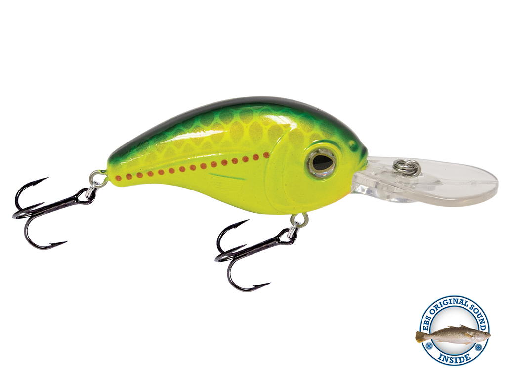 Dive Master Jr 8