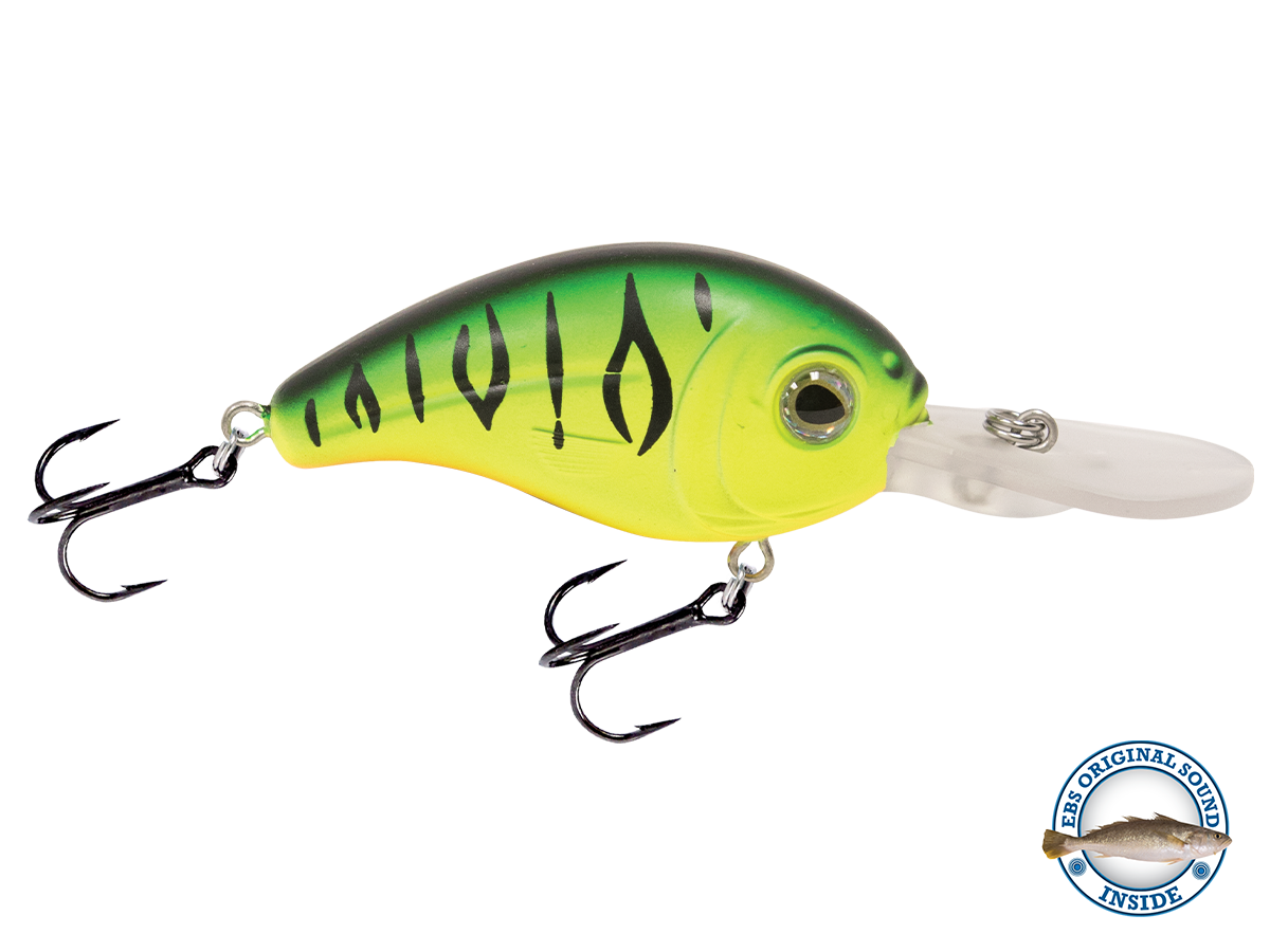 Dive Master Jr 8