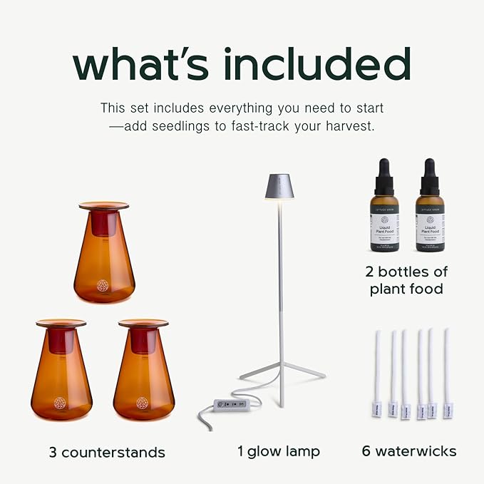 Counterstand Set – Vase Plant for Indoor Edible Garden Kit for Herbs & Lettuce – Small-Space Hydroponic System – Home Decor & Gifting – with Live Plants