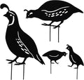 jojofuny 4pcs Garden Quail Stake Bird Yard Art Metal Statue Decor Animals Silhouette Outdoor Decoration Courtyard Ornaments for Lawns Backyard Patio Backyard Pathway