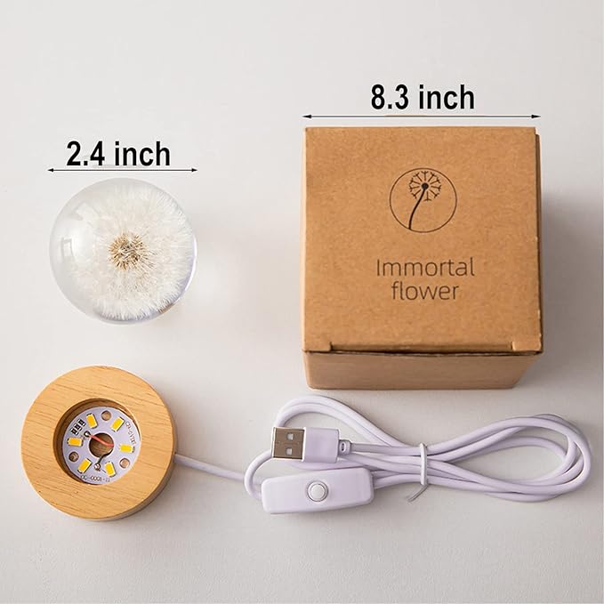Flower Crystal Ball Night Light,2.4 inch Glass Ball Night Lamp with Woodern Base (Dandelion)