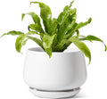 LE TAUCI Ceramic Planters, 10 Inch Pots for Plants, Indoor Plant Pots with Drainage Holes and Saucers, Modern Planters Fit Mid Century Plant Stand, Flower Pots for Indoor Plants, White