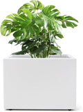 Metal Planter Box Rectangular Block-No Installation Required Galvanized Steel Long Box Planter Modern Outdoor Planters All-Weather Use with Drainage Holes for Patio/Porch,16 ×12×12IN（White）