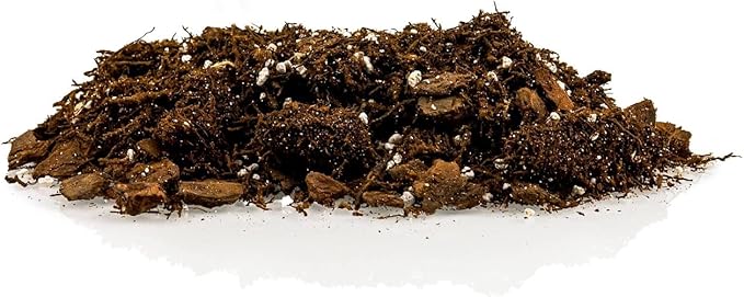 Premium Gardenera House Plant Potting Mix | Fern + New Zealand Bark + Perlite | Great for Pothos, Spider Plants, Montsera, Philodendron, English Ivy - 5 Quart Bag