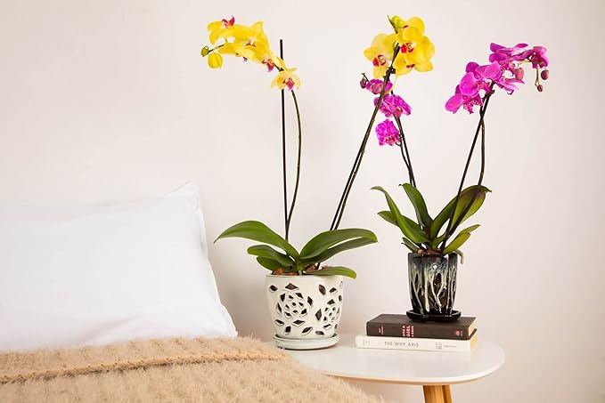 rePotme Orchid Pot - 5 inch Floral Cutout Ceramic Orchid Pot with Holes (Creamy Chestnut) - Includes 5 inch Slotted Pot Liner