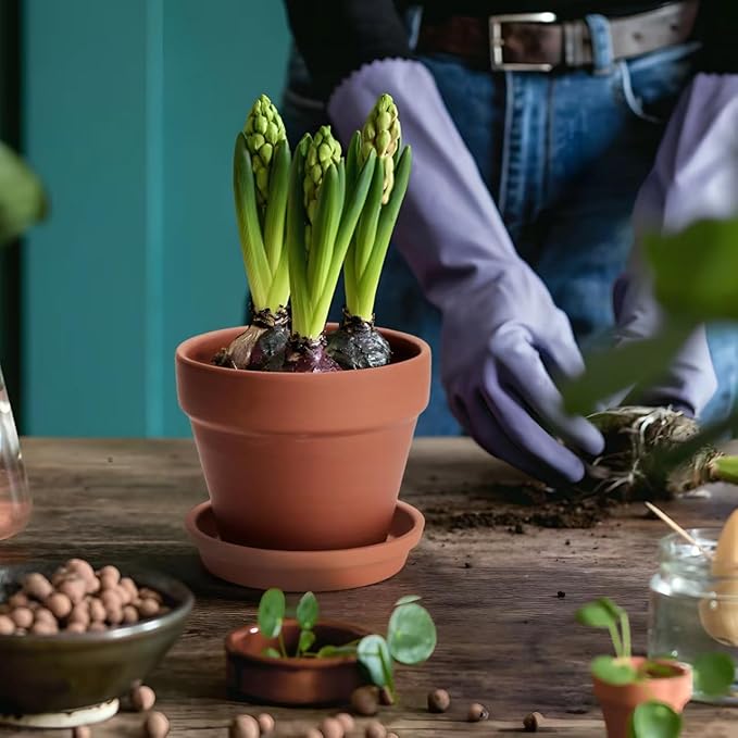 6 PCS Clay pots and Plates, 5-inch red Clay pots with Drainage, Perfect for Indoor, windowsill, and Garden Plants