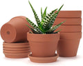 6 PCS Clay pots and Plates, 5-inch red Clay pots with Drainage, Perfect for Indoor, windowsill, and Garden Plants