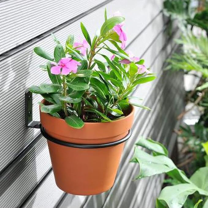 6 Pack 8in Flower Pot Holder Ring Wall Mounted Metal Planter Hooks Hangers Wall Bracket Wall Planter Hook (6, 8")