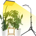 FECiDA Grow Lights for Indoor Plants with Stand, UV-IR Full Spectrum LED Standing Plant Grow Light, 2000 Lumen Houseplant Growing Floor Lamp with On/Off Switch, Daisy Chain Function