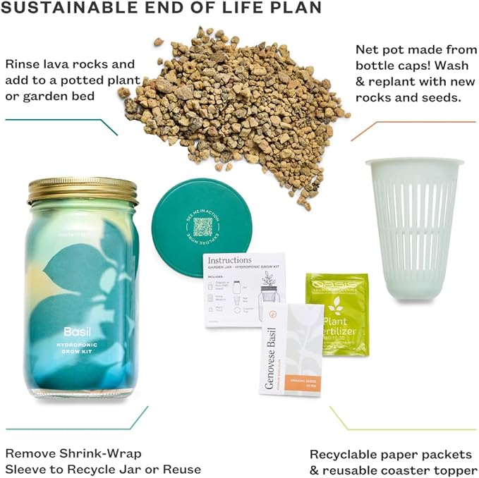 Modern Sprout New & Improved Mason Jar Grow Set, Indoor Herb Garden, Seed Starter Set, Organic Seeds, Hydroponic Growing (Basil + Lavender)