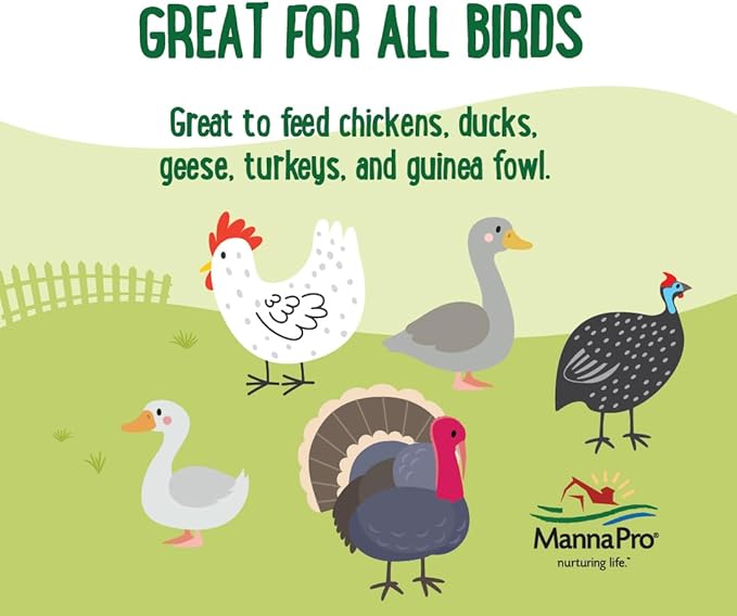 Manna Pro Farmhouse Favorites Quirky Quatro Crunch – 100% Natural Protein Treat for Mixed Flocks – Blend of Black Solider Fly Larvae, Mealworms, Beetles & Shrimp – 2lb
