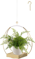 Hanging Planters for Indoor Plants, Plant Hanger with Sturdy Wood Base,Modern Boho Macrame Plant Hanger,Wall Ceiling Window Stands(Plants/Pots Not Included)