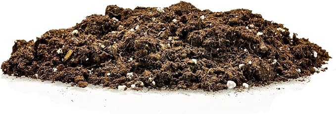 Premium Bamboo Potting Soil Mix - (2 Quart Bag)
