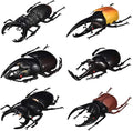 Hiawbon 5.5 inch Fake Beetle Simulated Beetle Model Realistic Plastic Beetle Figures for Fairy Garden Decoration, Set of 6