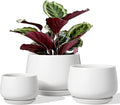 LE TAUCI Ceramic Plant Pots, 4.1+5.1+6.5 inch, Set of 3, Planters with Drainage Hole and Saucer, Indoor Flower Pot with Hole Mesh Pad, Gifts for Mom, White