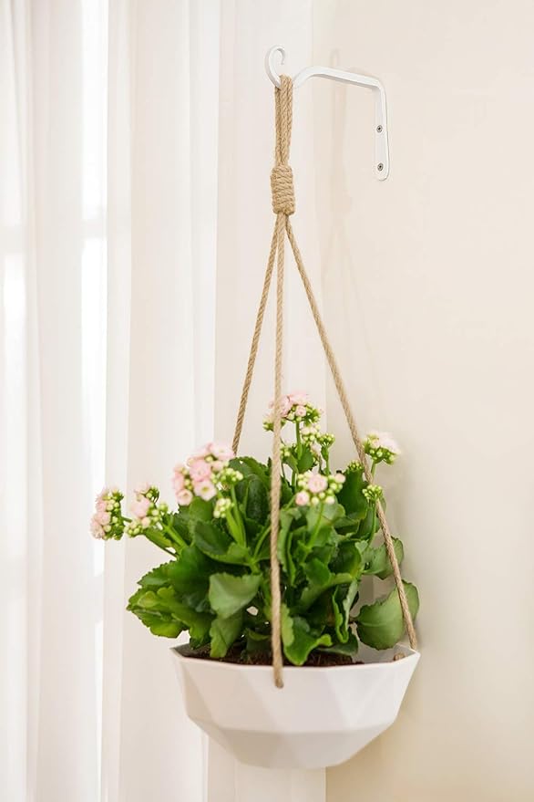 Mkono Hanging Plant Bracket 6 inch Metal Wall Plant Hook Decorative Plant Hanger for Bird Feeders, Planters, Lanterns, Wind Chimes, Home Decor Indoor Outdoor 2 Pack, White