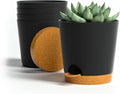 4 inch Small Plant Pots for Outdoor Indoor Plants, 5 Pack Planters with Drainage Holes and Tray, Small Self Watering Pots for Succulent,Cactus, Aloe and Other Plants (Black)