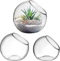 Mipcase 3 Pcs Plant Terrarium Plant Holder Terrarium Air Plant, 3 Round Glass Vase for Succulents, Clear Bubble Planter for Home Decor, Oblique Opening Glass Bowls Succulent Orbs Mini Tank