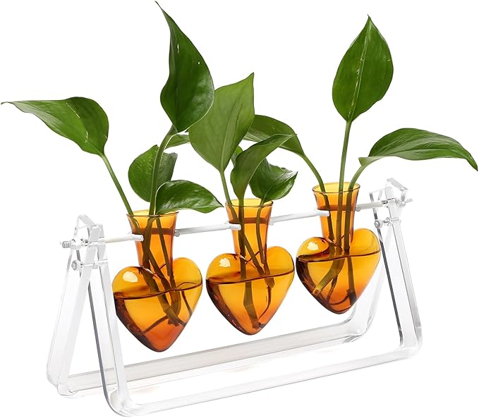 Plant Terrarium Propagation Stations with Wooden Stand Birthday Gifts for Women Plant Stand Indoor Office Home Decor