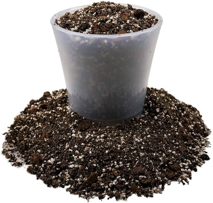 Premium Dahlia Potting Soil Mix - Ideal for Growing Vibrant and Healthy Dahlias - 10 Quart
