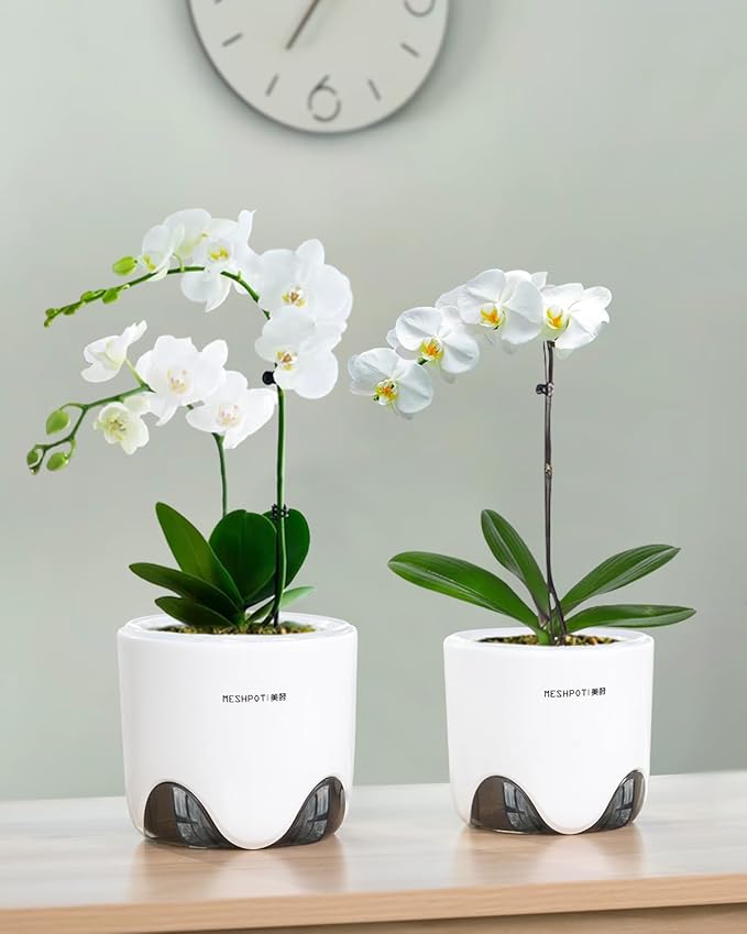 5 inch Orchid Pots with Holes for Repotting with Excellent Airflow, Set of 1, Double Layer Plastic Imitate Ceramic Orchid Planter, Clear Orchid Pot Match Decorative Orchid Container