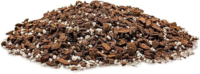 Monstera Dubia Soil Blend - Ensures Superior Aeration and Drainage for Vibrant Growth - 5 Quart