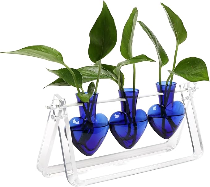 Plant Terrarium Propagation Stations with Wooden Stand Birthday Gifts for Women Plant Stand Indoor Office Home Decor