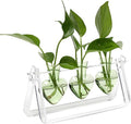 Plant Terrarium Propagation Stations with Wooden Stand Birthday Gifts for Women Plant Stand Indoor Office Home Decor
