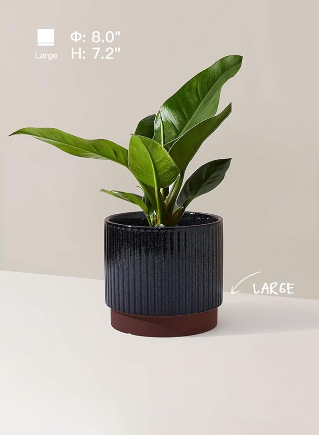 LE TAUCI Ceramic Plant Pots with Drainage Holes, Set of 3, 8+6.7+5.5 Inch Stripe Garden Planter Pots for Outdoor Indoor Plants Flower, Round Succulent Orchid Flower Pot, Reactive Glaze Black