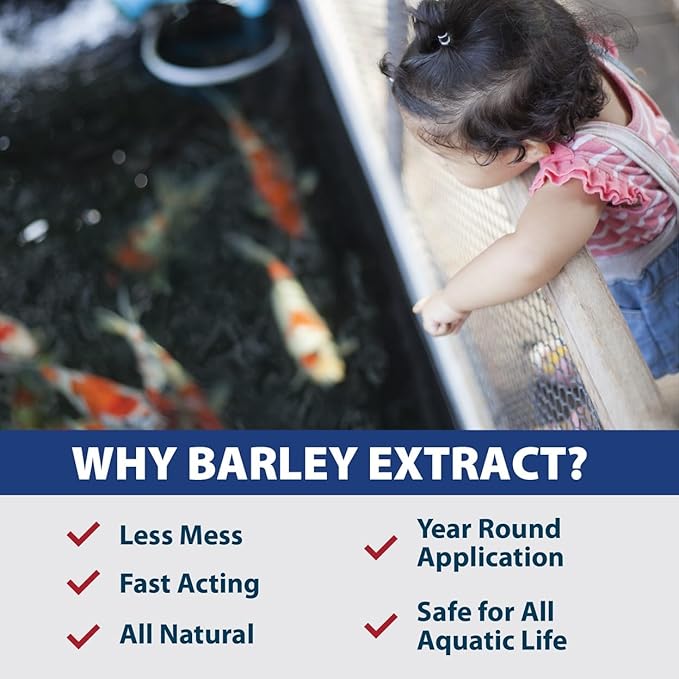 The Pond Guy Barley Extract Natural Liquid Treatment for Ponds and Water Gardens, Safe for Koi Fish and Plants, Natural Solutions for Clear Pond Water - 16 Ounces