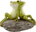 Top Collection Miniature Fairy Garden and Terrarium Statue, Frog Friends on Stone