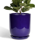 10 Inch Plant Pot - Ceramic Pot for Indoor Plants Large Planter Modern Outdoor Flower Pot with Drainage Hole and Saucer for Home Patio Decor Blue