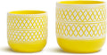Ceramic Plant Pots, 6 + 4.7 inch Yellow Plant Pot, Flower Pots for Indoor Plants， Planter with Drainage Hole for Succulent Orchid Snake Plants Cactus