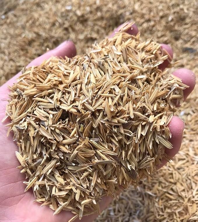 Premium Rice Hulls - Sustainable Gardening Essential for Improved Water Retention and Nutrient Absorption - 3 QUARTS