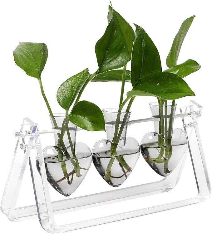 Plant Terrarium Propagation Stations with Wooden Stand Birthday Gifts for Women Plant Stand Indoor Office Home Decor