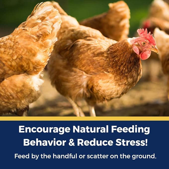 Pampered Chicken Mama Best Eggs Ever! Nesting Herbs for Chickens (4 Pounds) Calcium Supplement for Chickens | Chicken Feed Supplies, Hen Treats for Coops