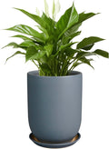 Ceramic Pot for Plants - 8 Inch Plant Pot for Indoor Plants Outdoor Ceramic Planter Large Flower Pot with Drainage Hole and Saucer for Home Garden Decor Gray