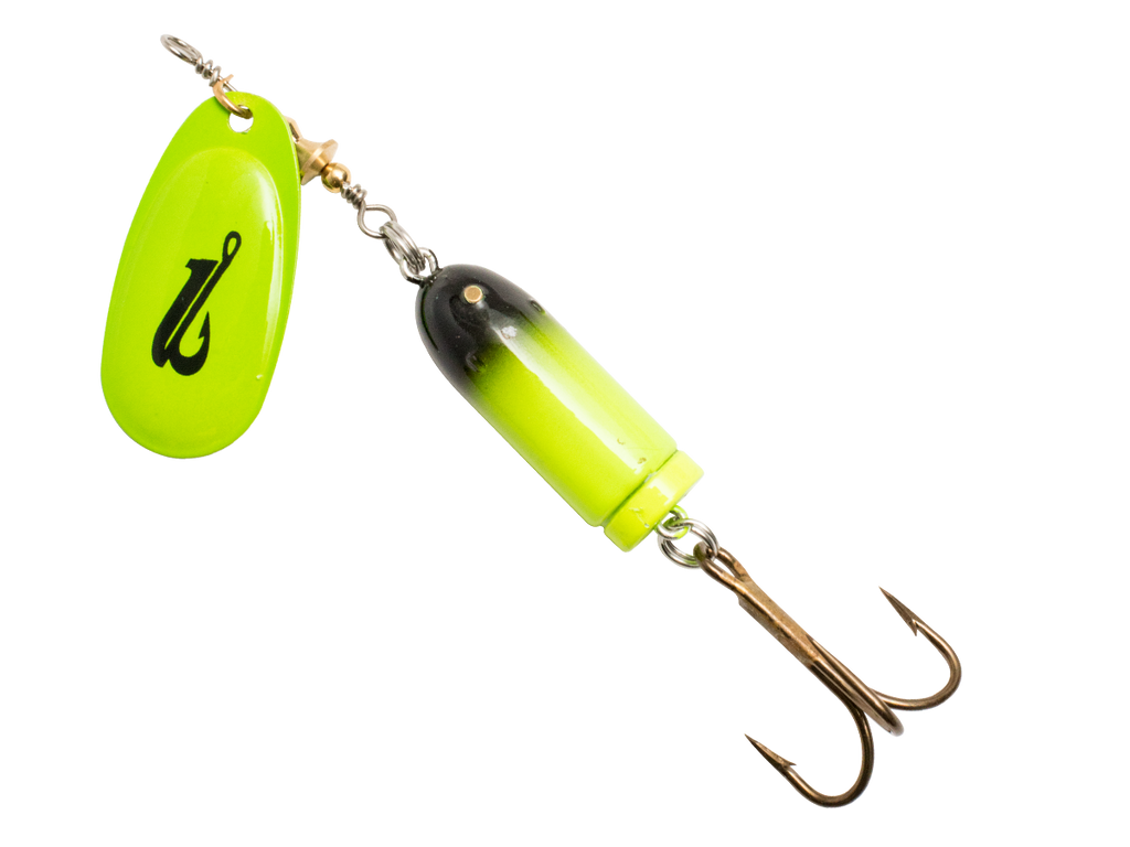 EBS Spinner 50