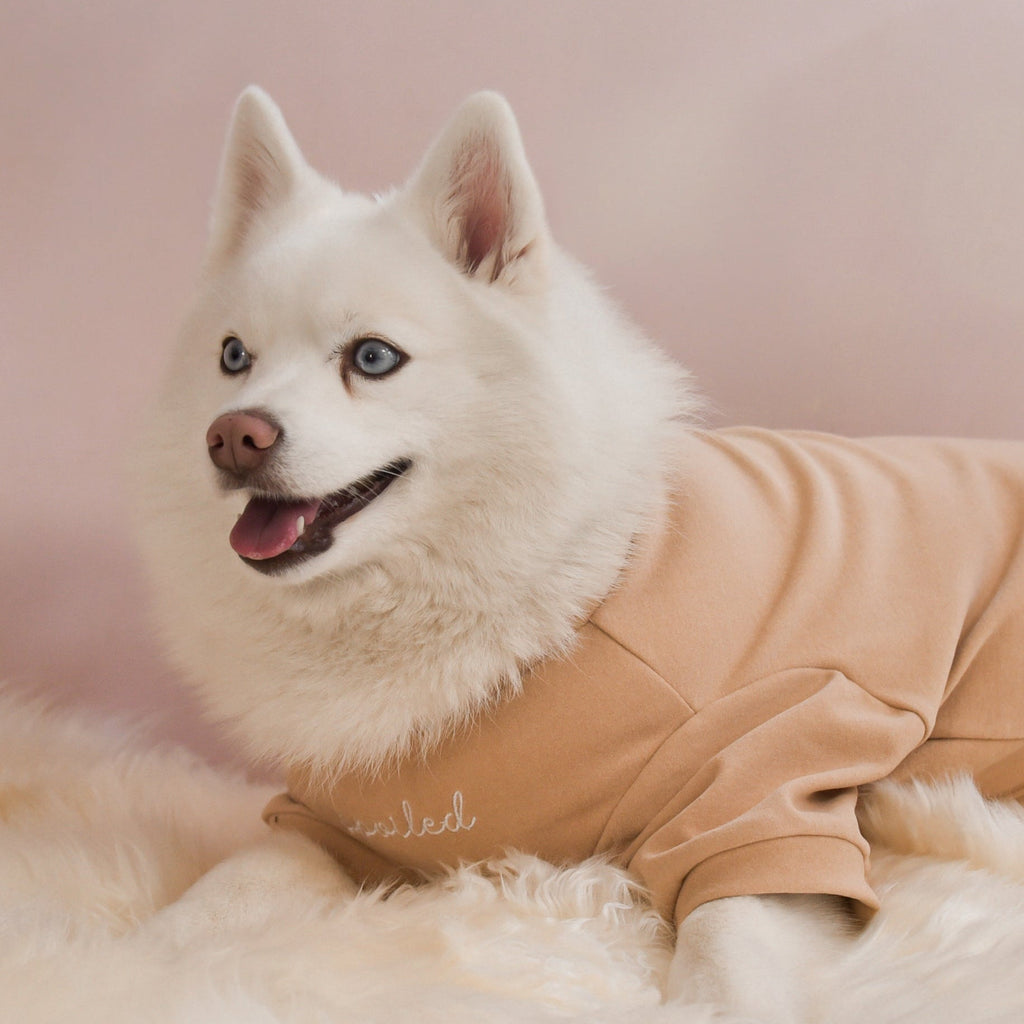Spoiled Mock Neck Shirt - Latte