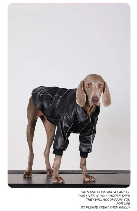 Dog Clothes For Medium To Large Breeds Autumn Black Leather Jacket For Labradors, Golden Retrievers, And Samoyeds