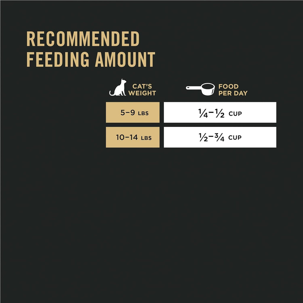 High Protein Cat Food