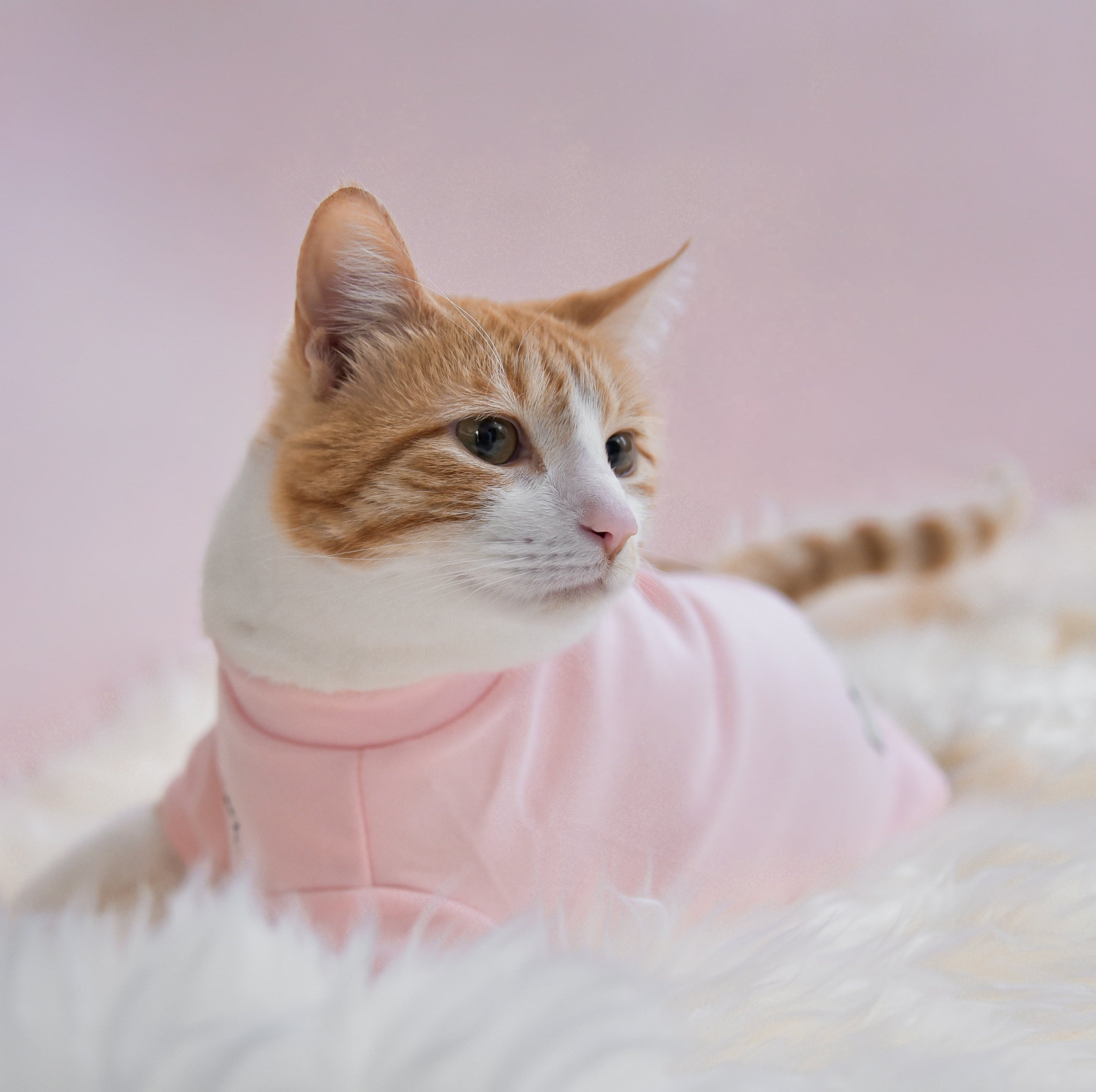 Spoiled Mock Neck Shirt - Blush