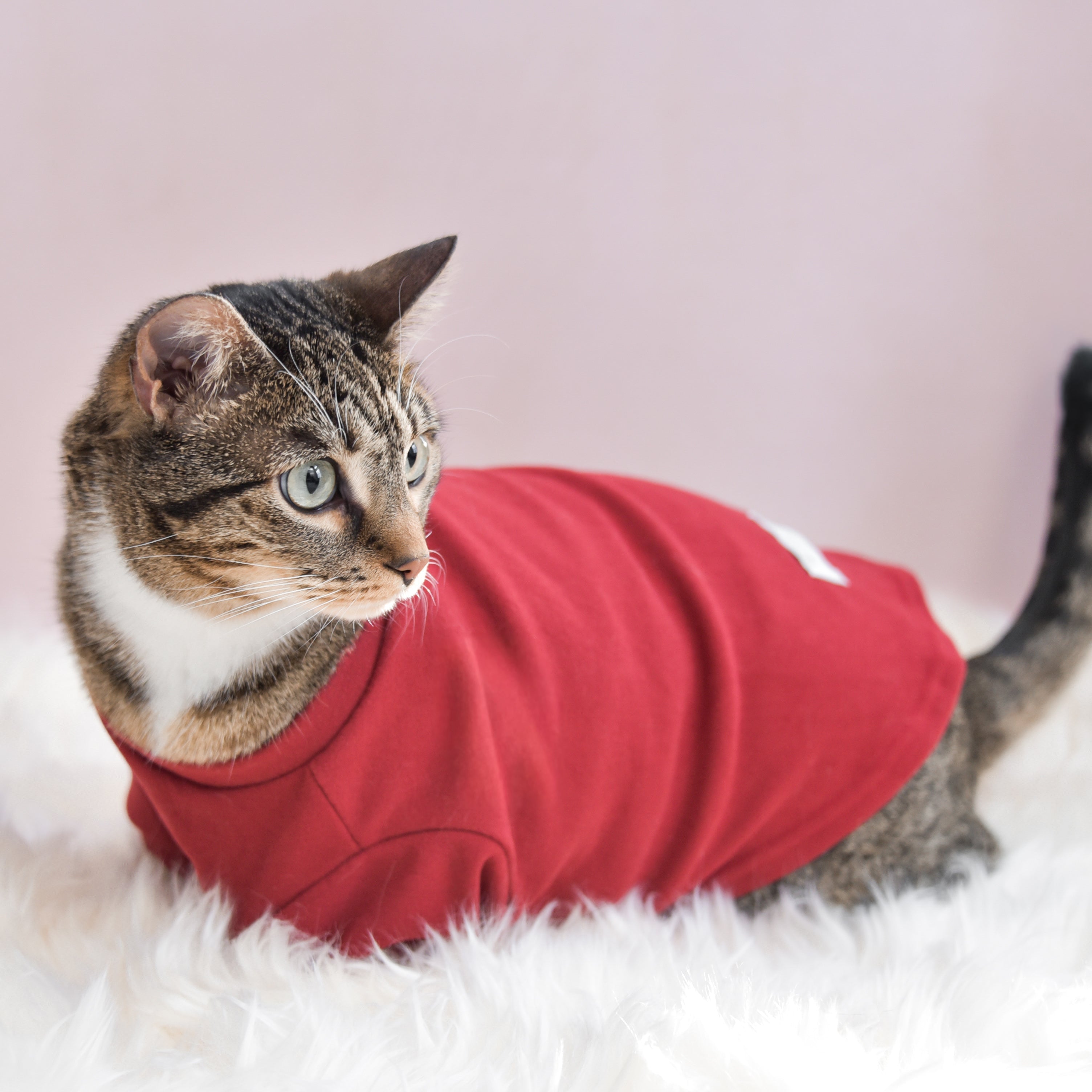 Spoiled Mock Neck Shirt - Lucky