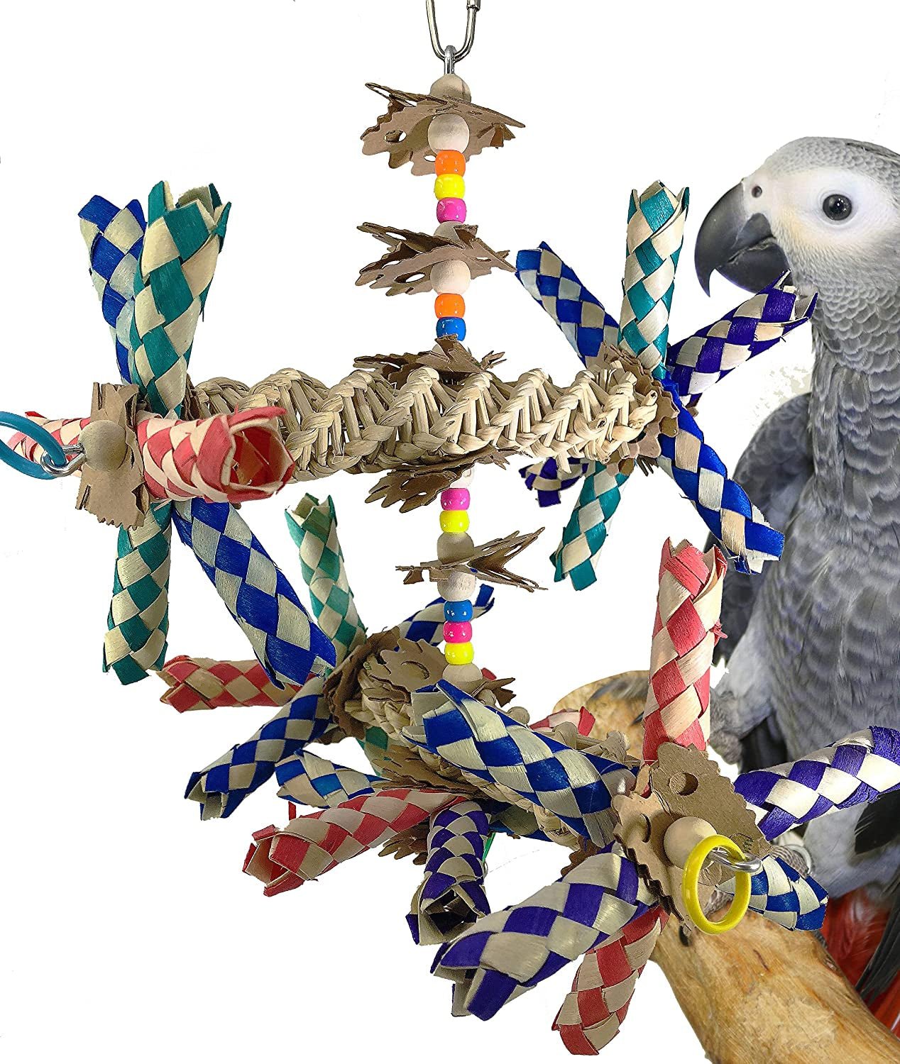 Wide Parrot Toy