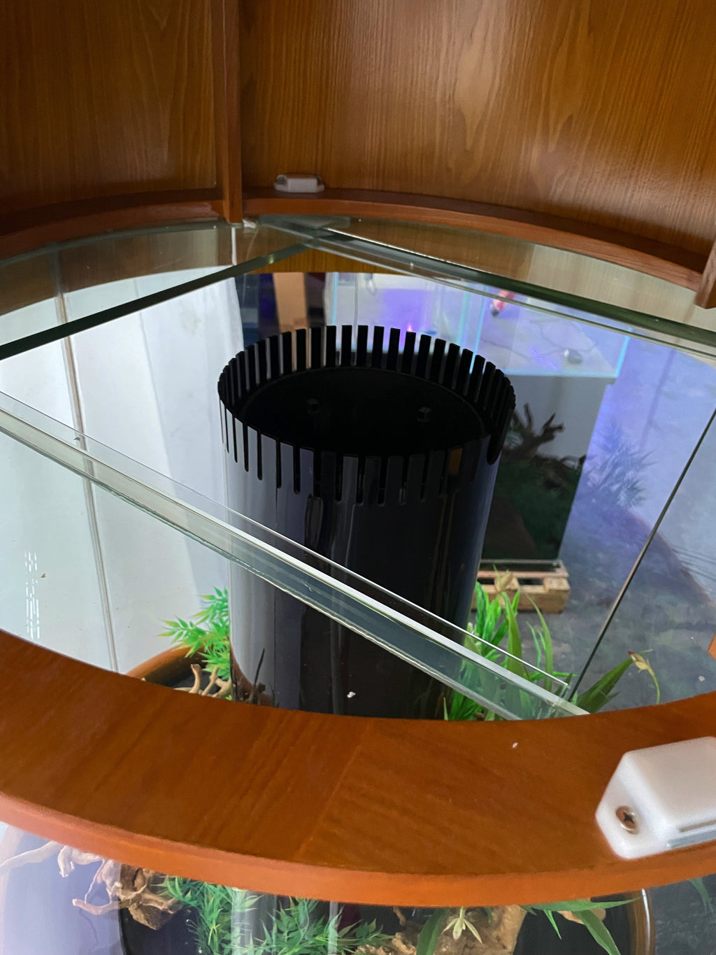 100 Gallon Glass Full Cylinder Aquarium Minor Blemish Reef-Ready Aquarium in Golden Oak Real Wood Furniture