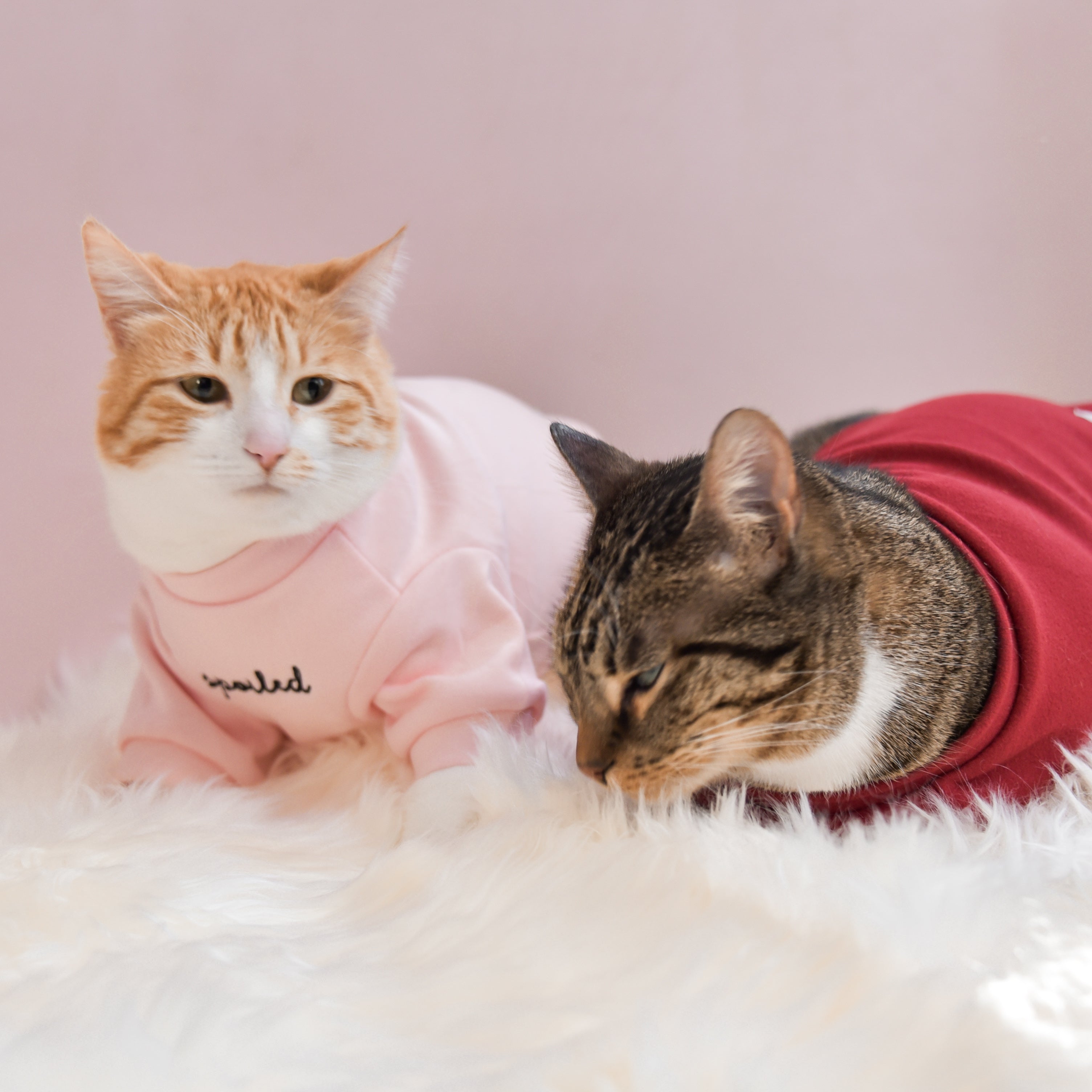 Spoiled Mock Neck Shirt - Lucky